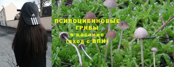 винт Богданович